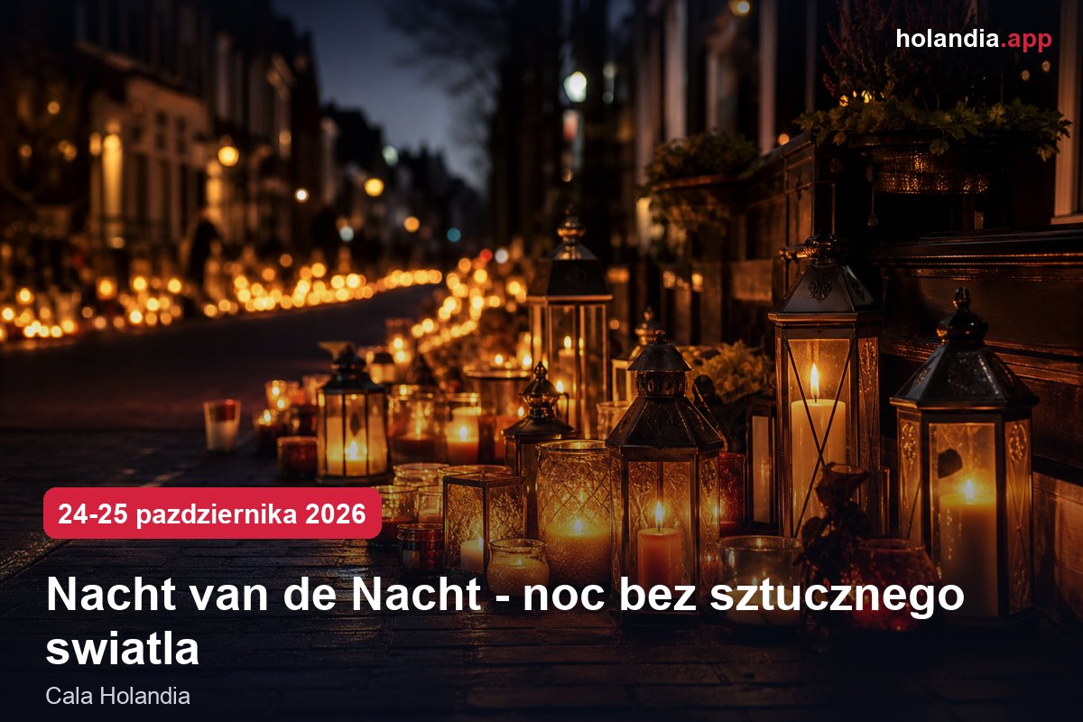 Nacht van de Nacht - noc bez sztucznego światła