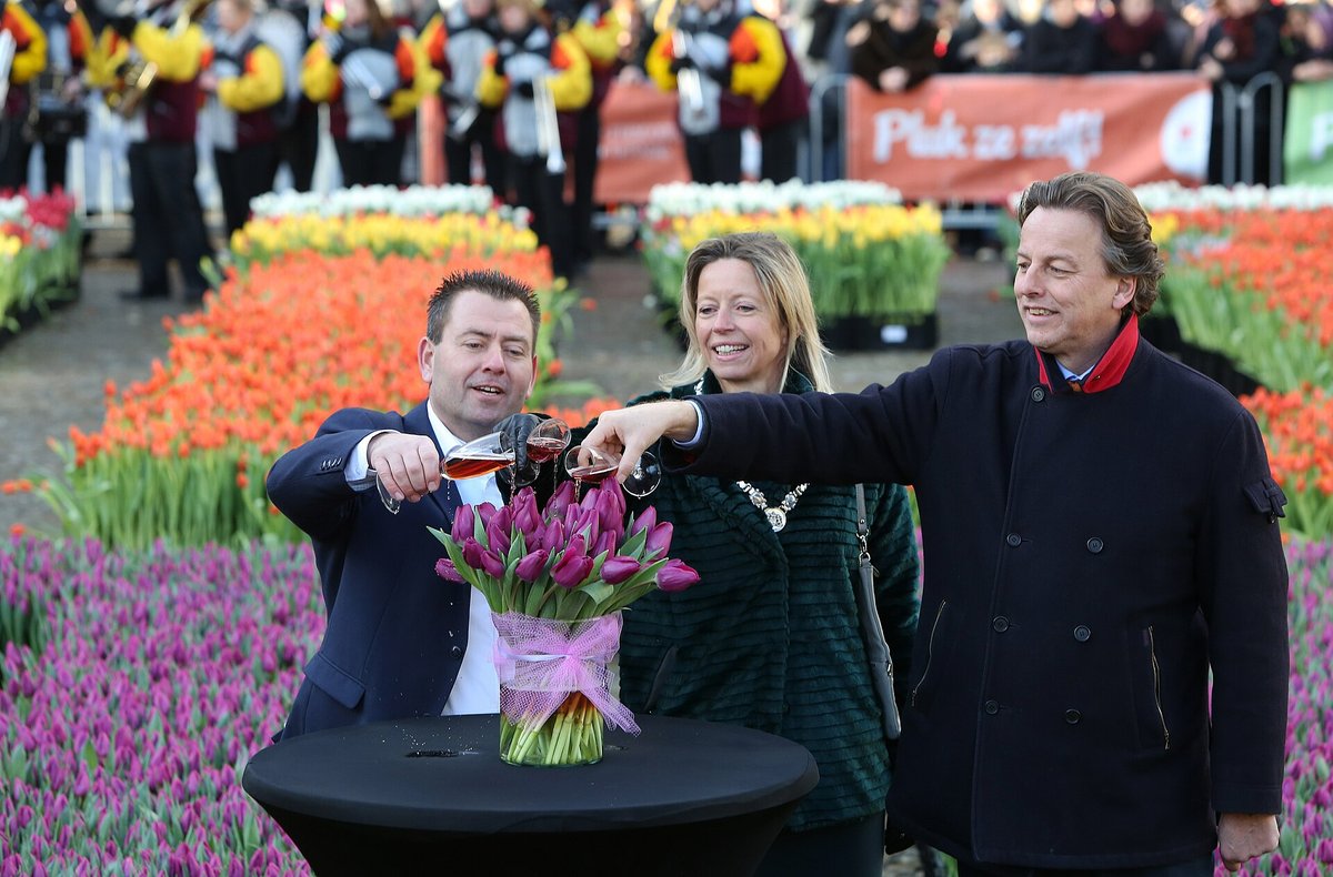 Nationale Tulpendag - darmowe tulipany na Museumplein