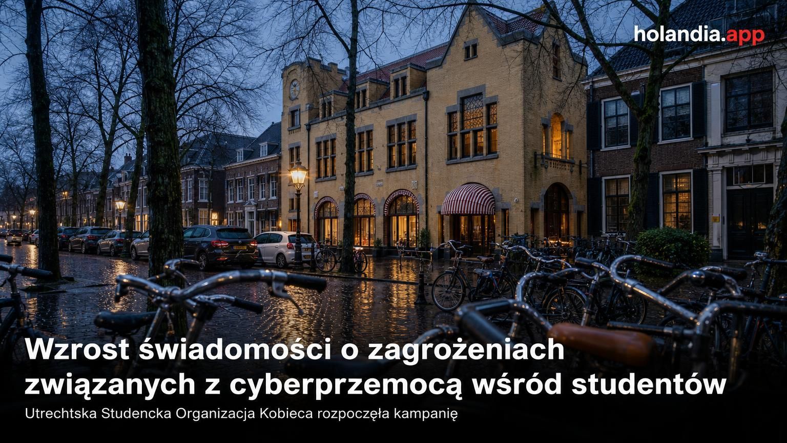 Wzrost świadomości o zagrożeniach związanych z cyberprzemocą wśród studentów