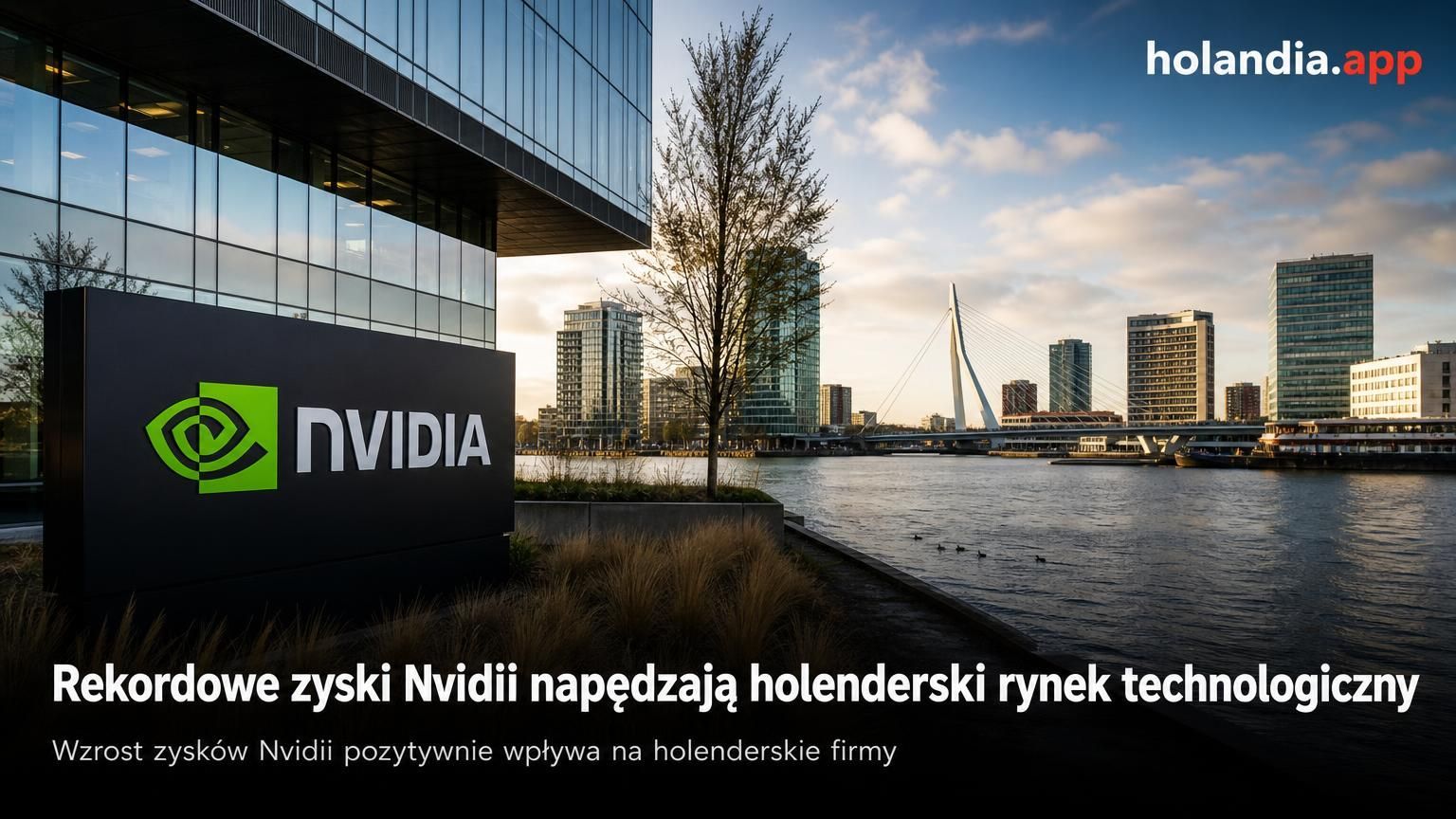 Rekordowe zyski Nvidii napędzają holenderski rynek technologiczny