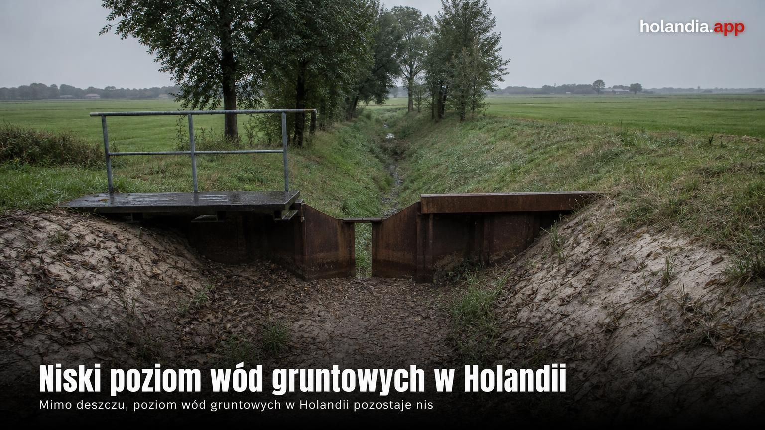 Niski poziom wód gruntowych w Holandii