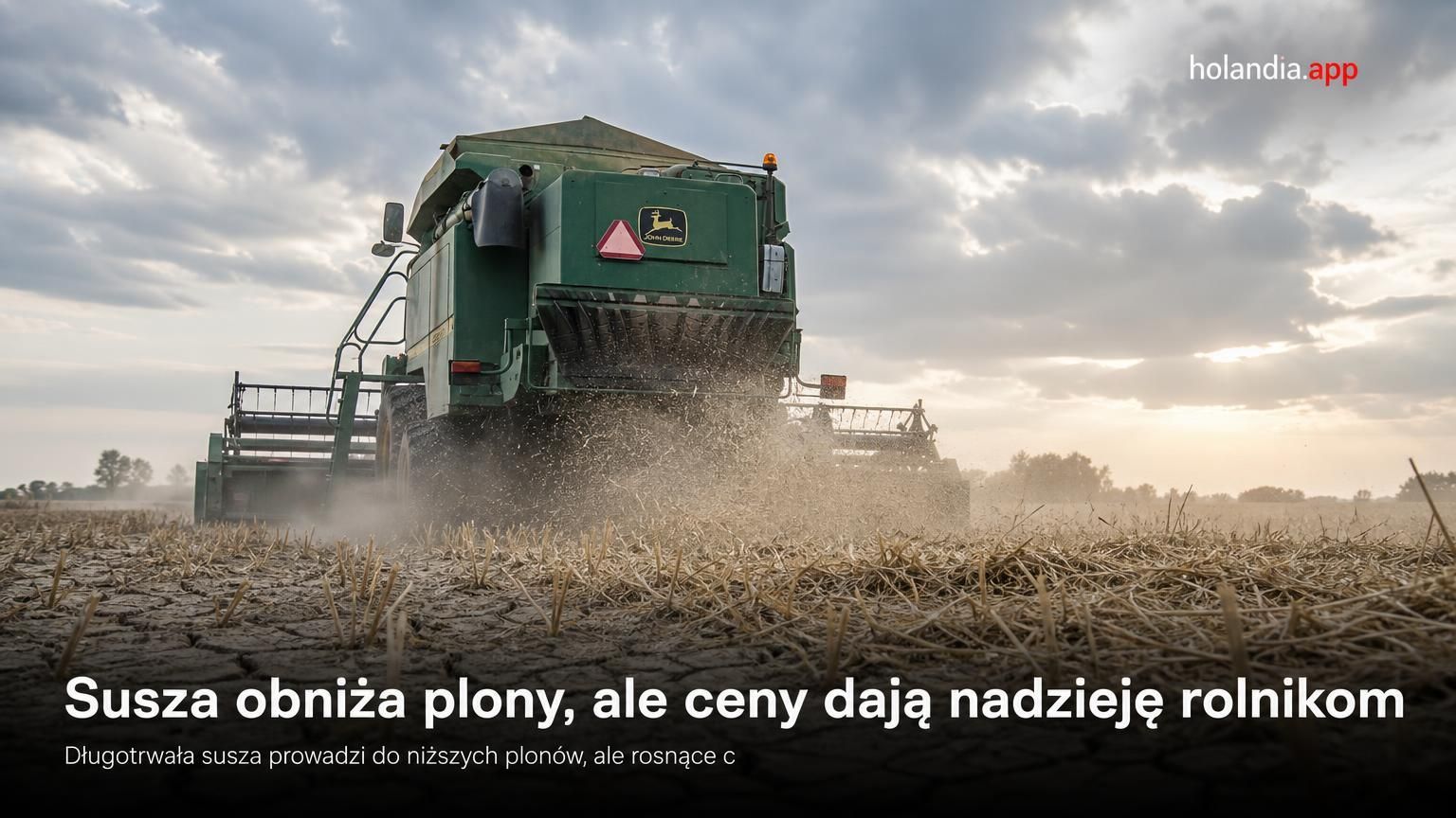 Susza obniża plony, ale ceny dają nadzieję rolnikom