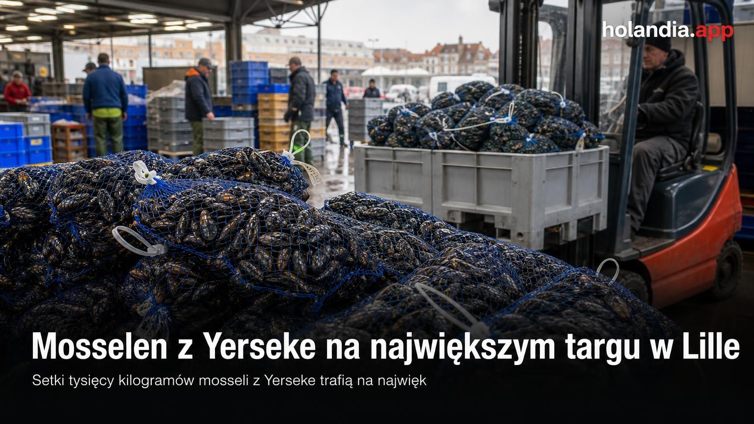 Mosselen z Yerseke na największym targu w Lille