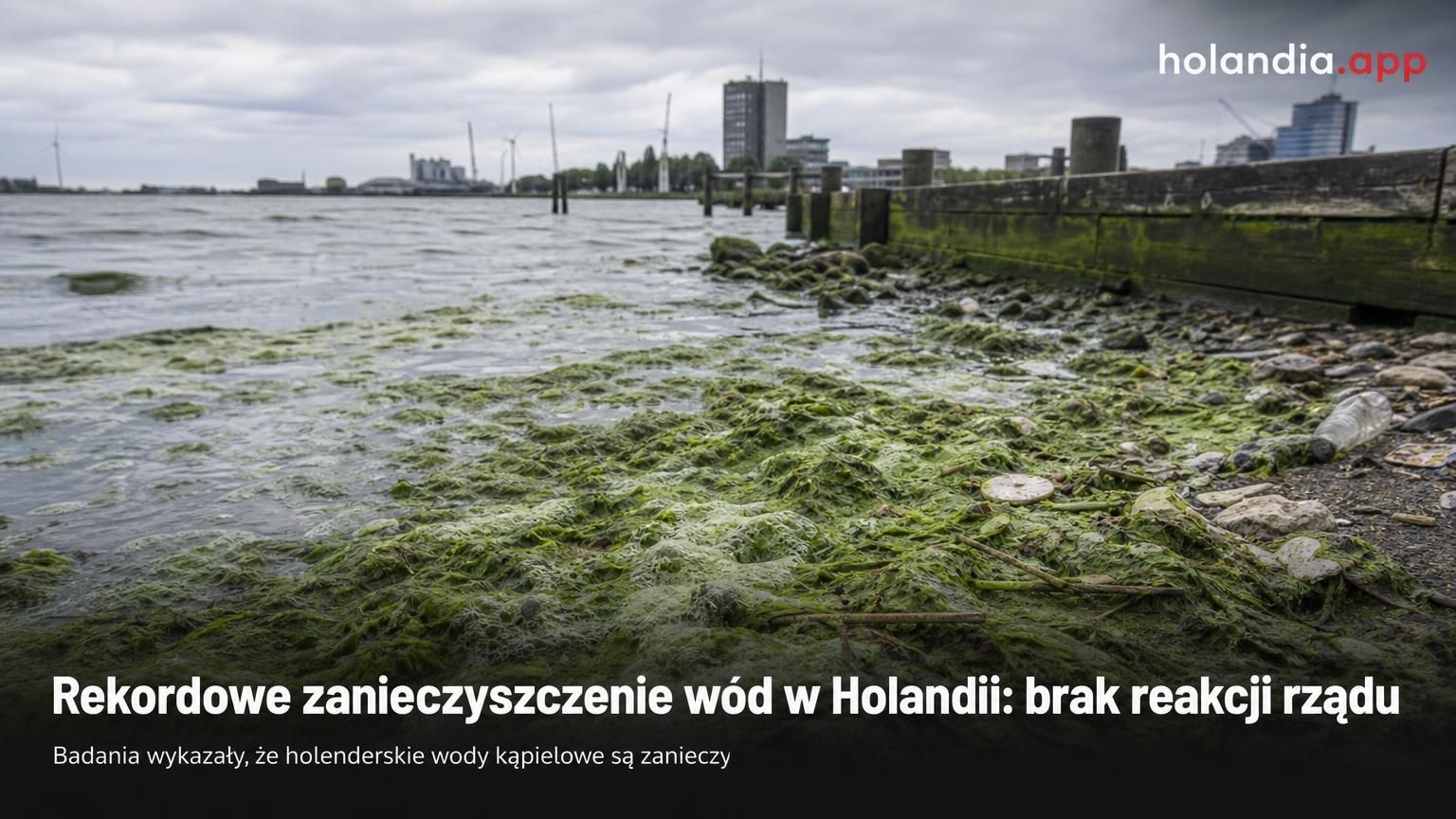Rekordowe zanieczyszczenie wód w Holandii: brak reakcji rządu