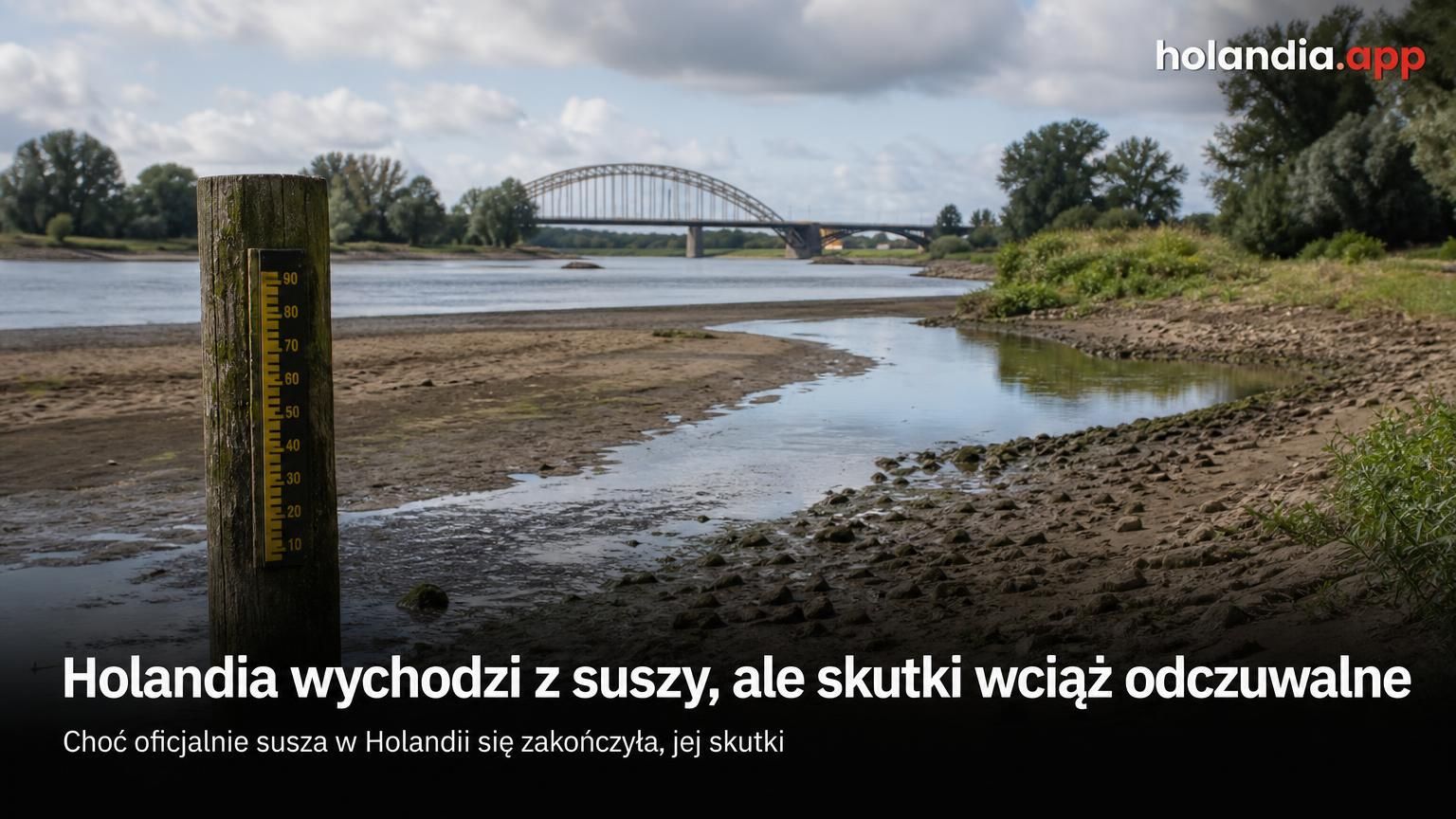 Holandia wychodzi z suszy, ale skutki wciąż odczuwalne