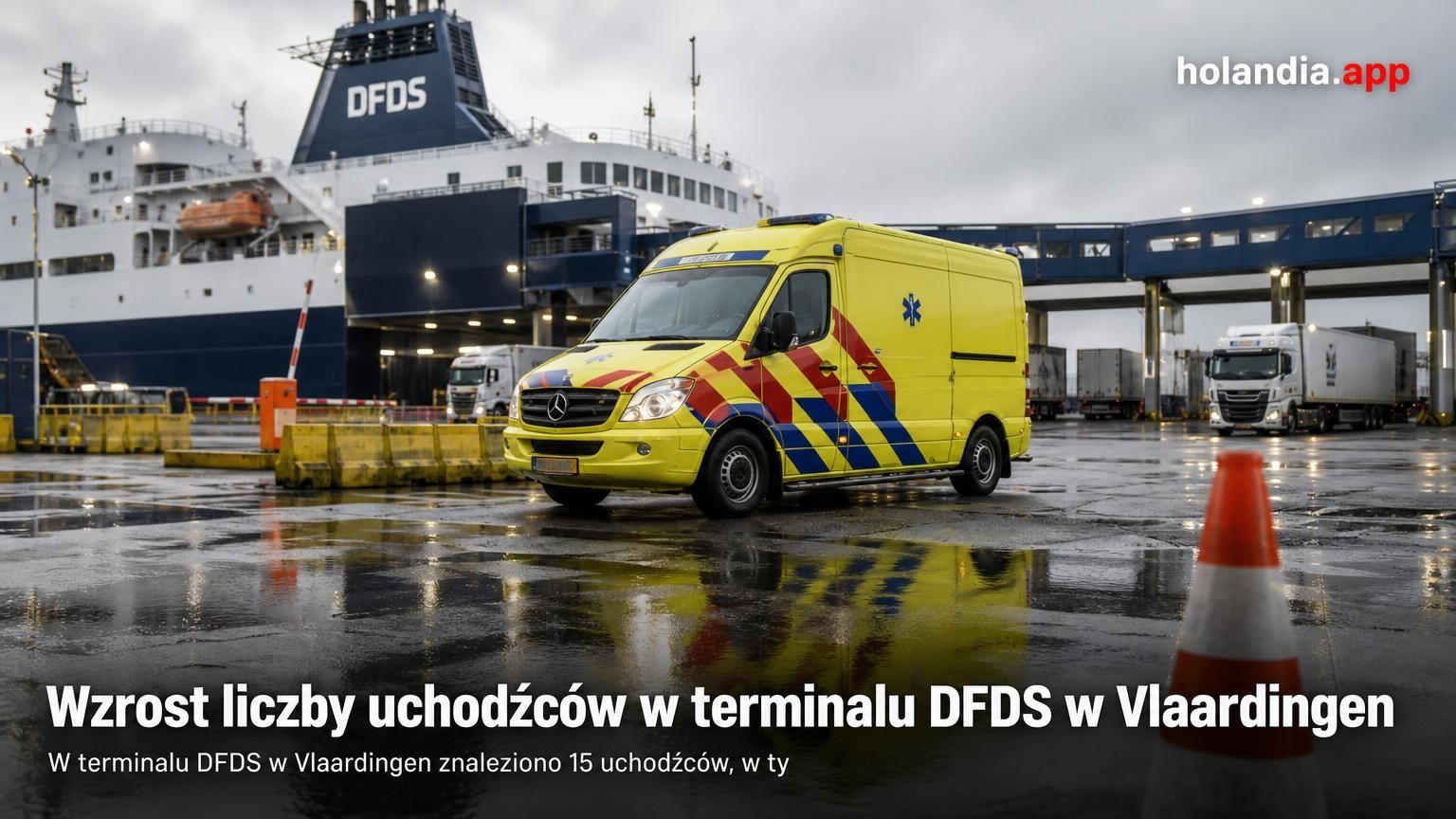 Wzrost liczby uchodźców w terminalu DFDS w Vlaardingen