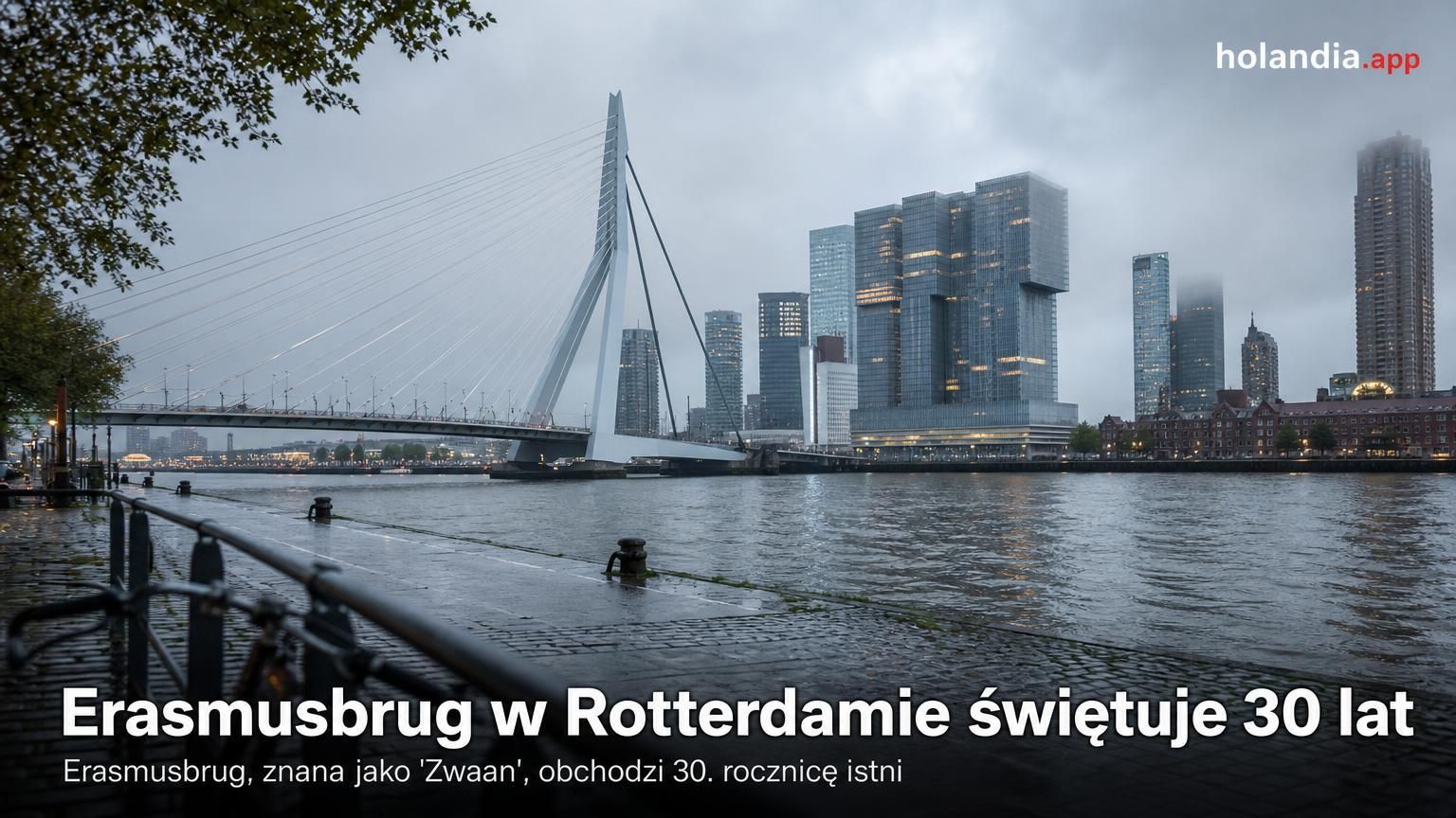 Erasmusbrug w Rotterdamie świętuje 30 lat