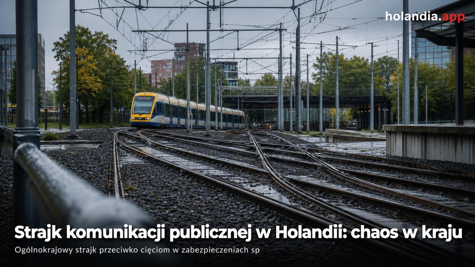 Strajk komunikacji publicznej w Holandii: chaos w kraju