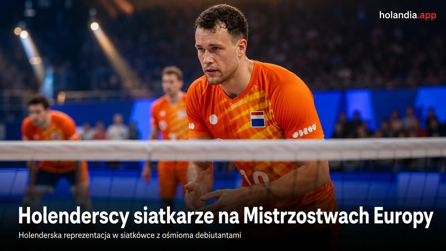 Holenderscy siatkarze na Mistrzostwach Europy