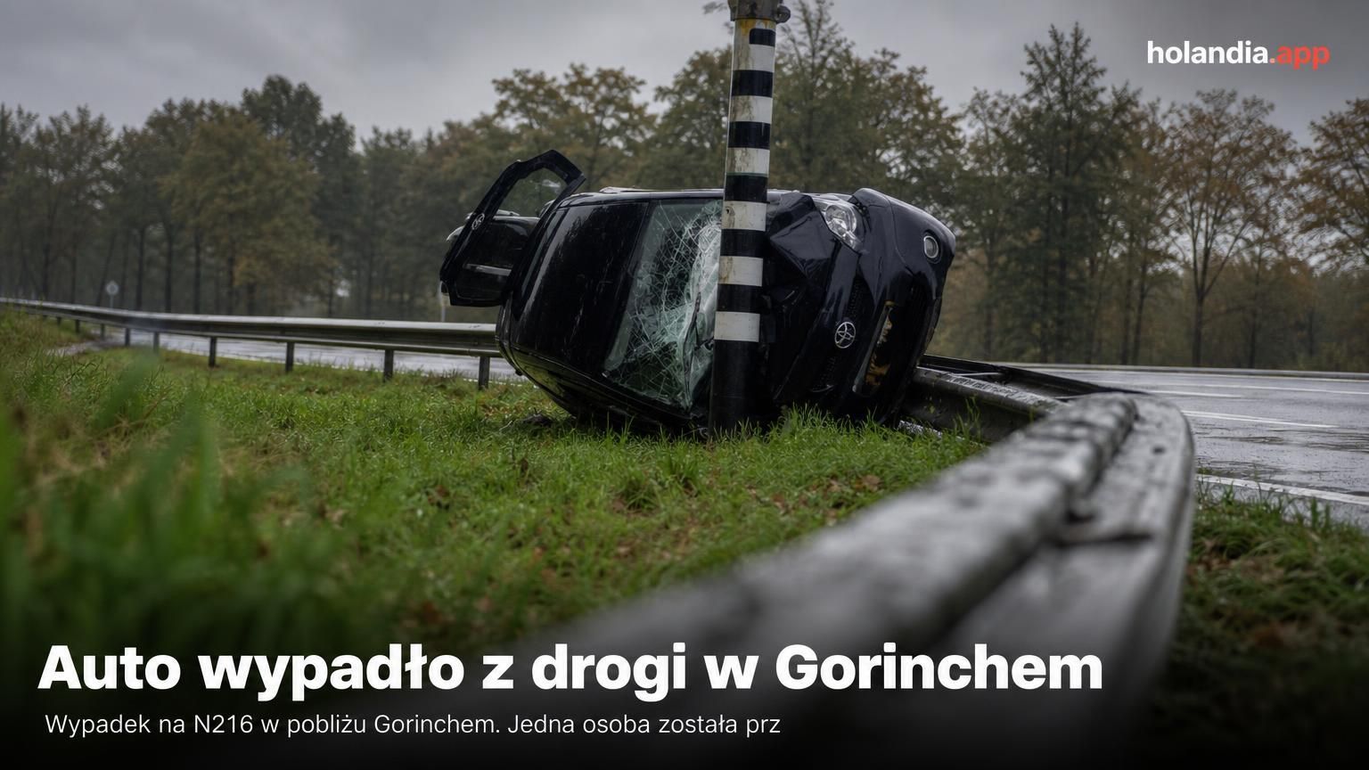 Auto wypadło z drogi w Gorinchem