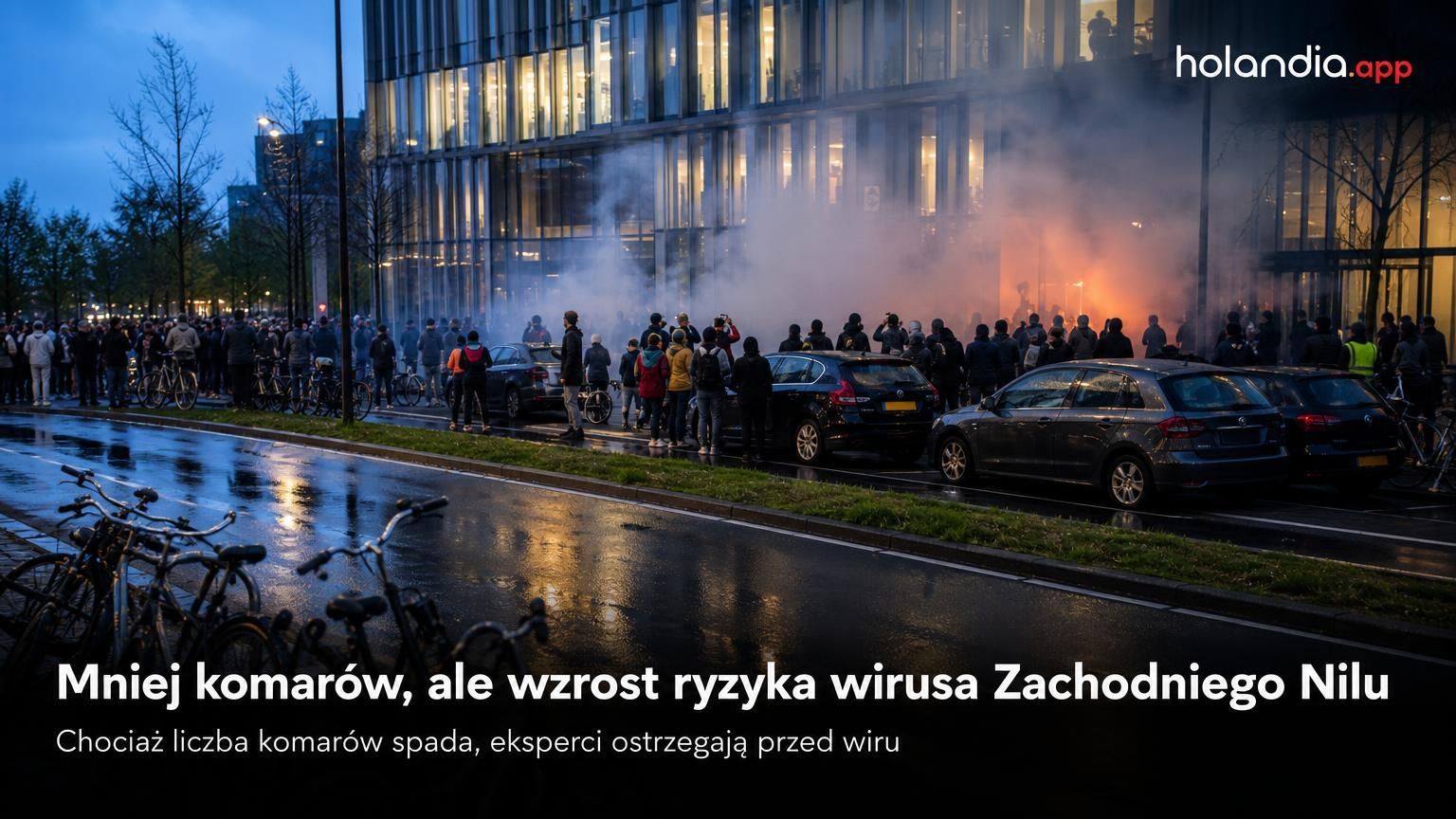 Mniej komarów, ale wzrost ryzyka wirusa Zachodniego Nilu