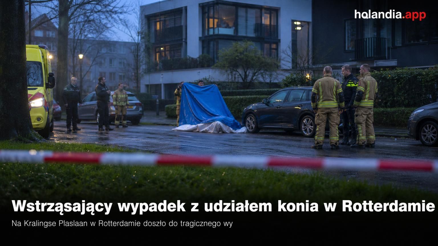 Wstrząsający wypadek z udziałem konia w Rotterdamie