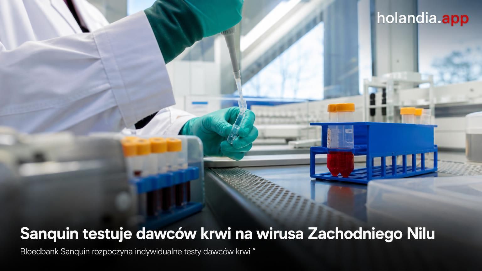Sanquin testuje dawców krwi na wirusa Zachodniego Nilu