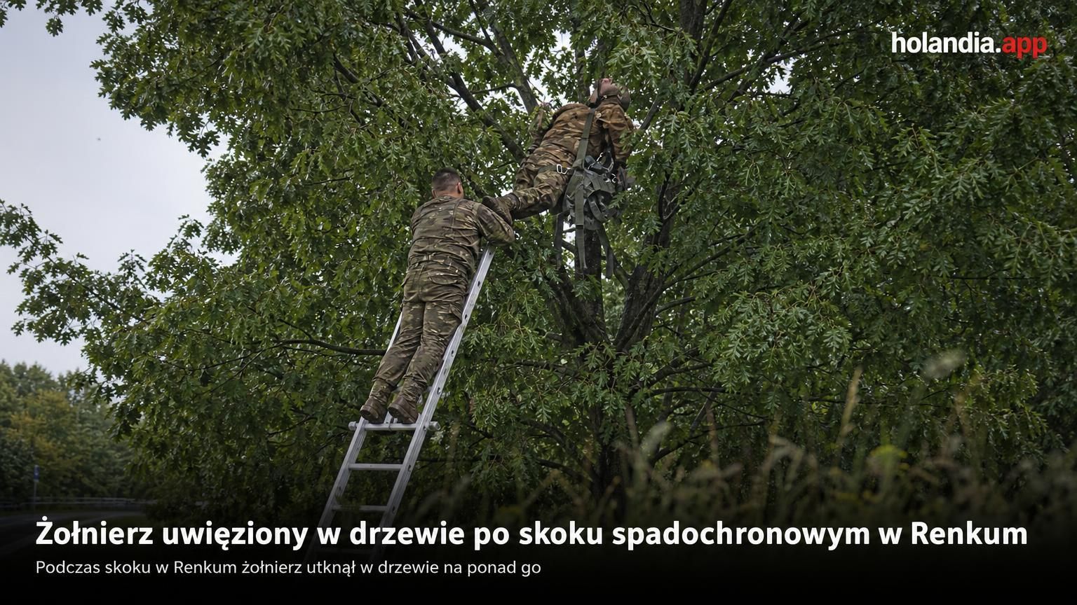 Żołnierz uwięziony w drzewie po skoku spadochronowym w Renkum