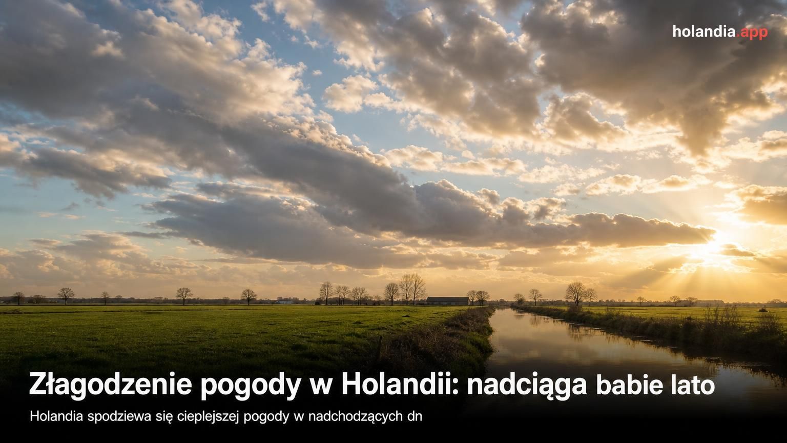 Złagodzenie pogody w Holandii: nadciąga babie lato