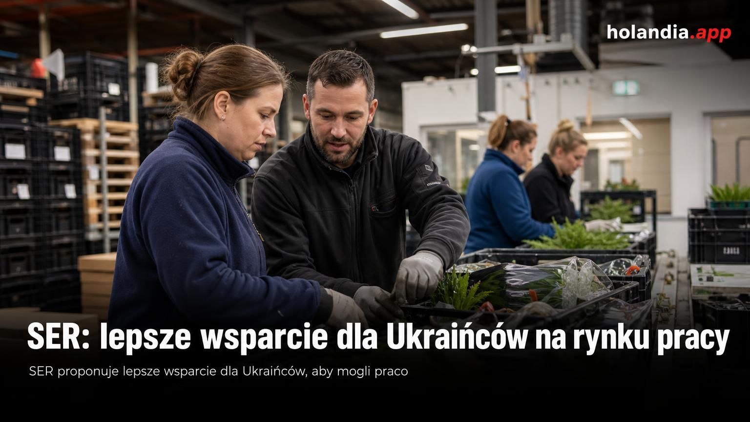 SER: lepsze wsparcie dla Ukraińców na rynku pracy