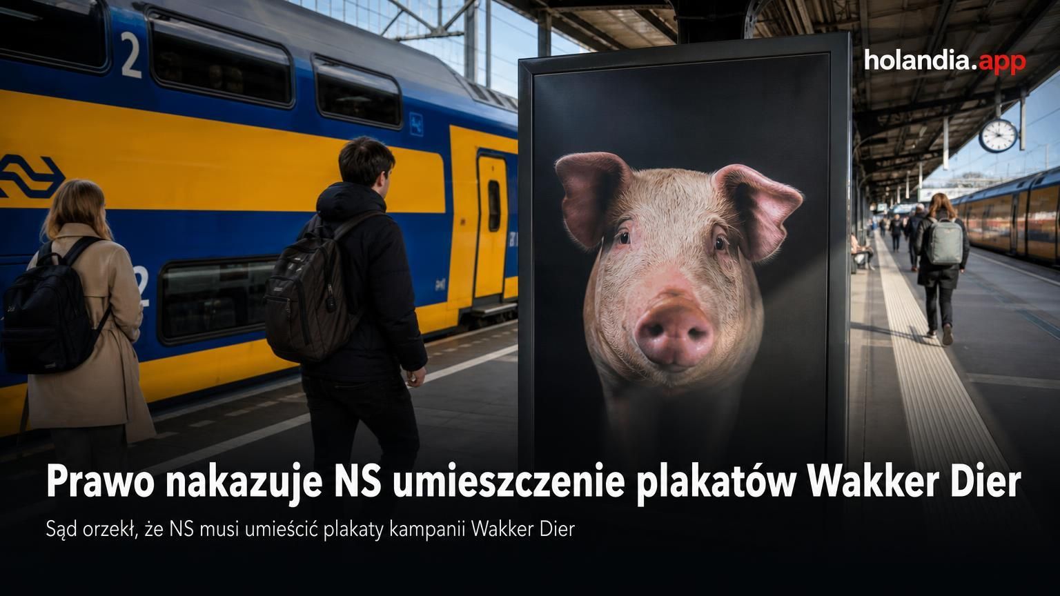 Prawo nakazuje NS umieszczenie plakatów Wakker Dier