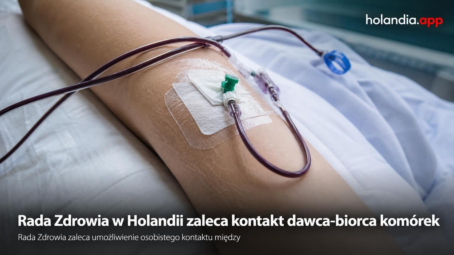 Rada Zdrowia w Holandii zaleca kontakt dawca-biorca komórek