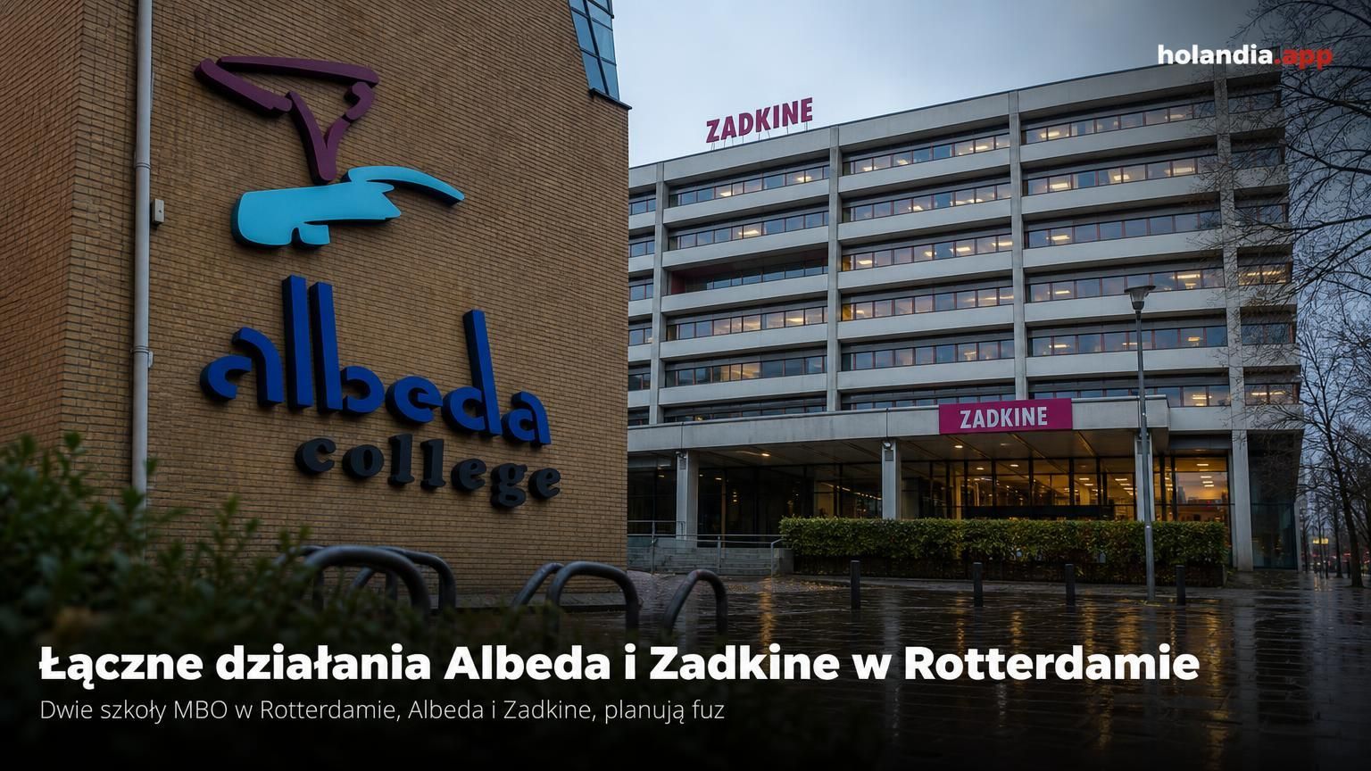 Łączne działania Albeda i Zadkine w Rotterdamie