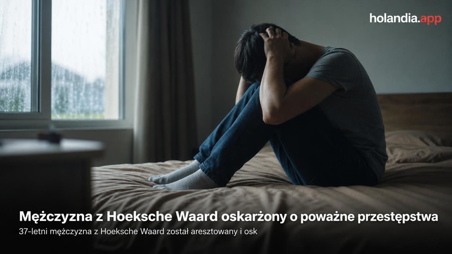 Mężczyzna z Hoeksche Waard oskarżony o poważne przestępstwa