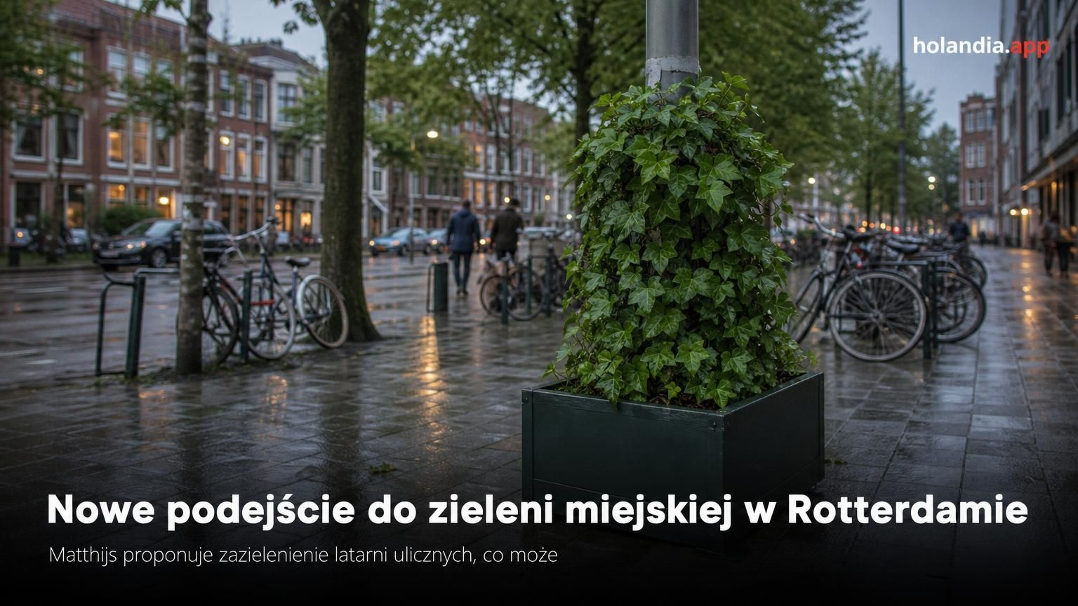 Nowe podejście do zieleni miejskiej w Rotterdamie