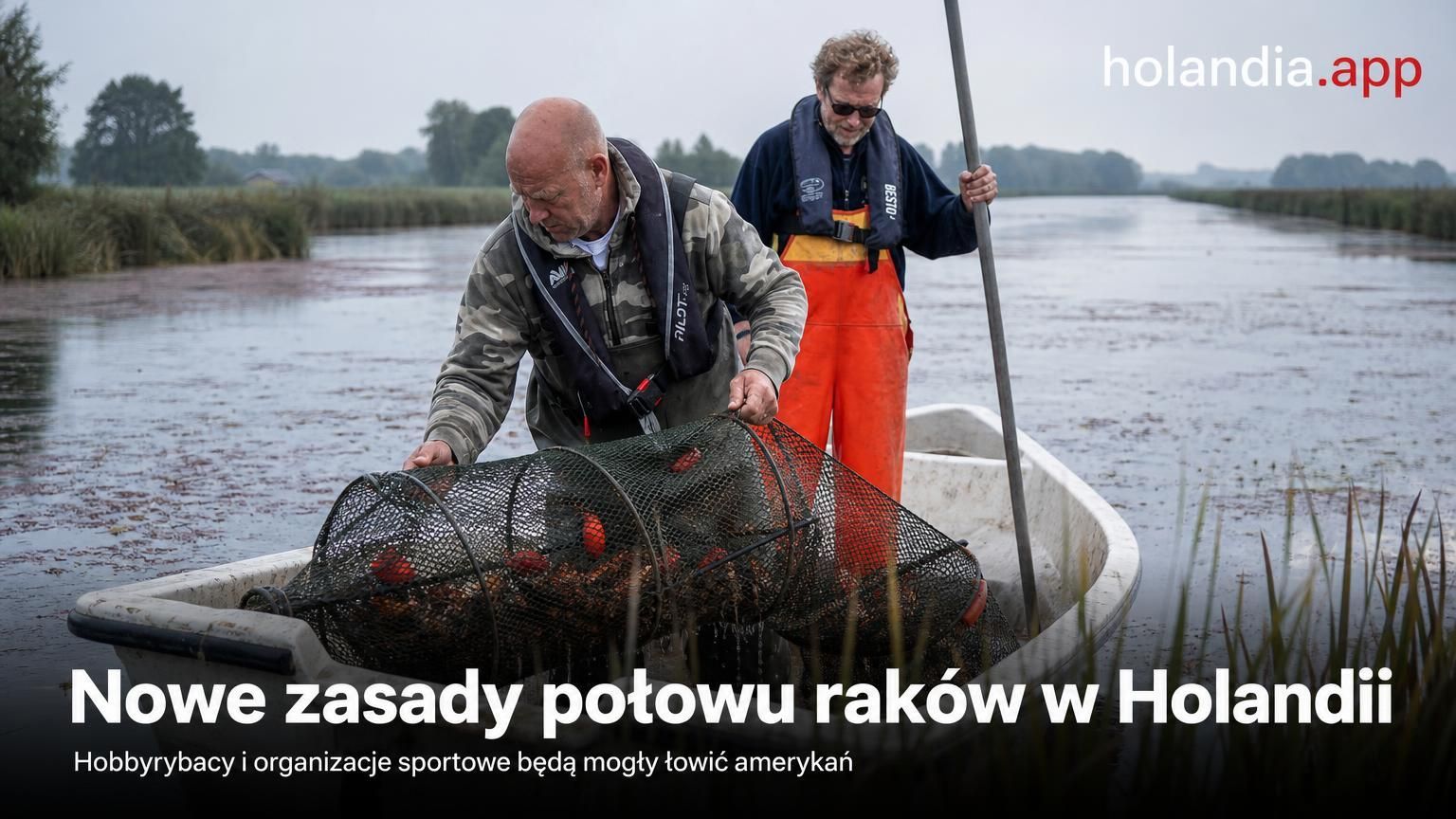 Nowe zasady połowu raków w Holandii