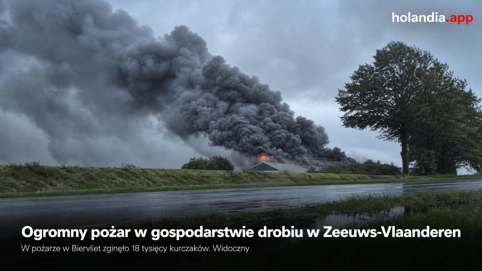 Ogromny pożar w gospodarstwie drobiu w Zeeuws-Vlaanderen